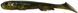 Силікон Savage Gear LB 3D Goby Shad 230mm 96.0g (1 шт/уп) 1854.15.40 фото