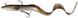 Силикон Savage Gear 3D Real Eel Ready To Fish 200mm 38.0g (1 шт/уп) 1854.04.00 фото