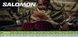 Ботинки Salomon QUEST 4D GTX Forces 2 Coyote, 37 1/3, 23 см, 4.5, 22,5 см