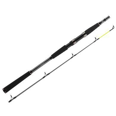 Спиннинг Daiwa Seahunter X 2.60m 60-180g 11533-260 фото