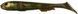 Силікон Savage Gear LB 3D Goby Shad 230mm 96.0g (1 шт/уп) 1858.09.03 фото