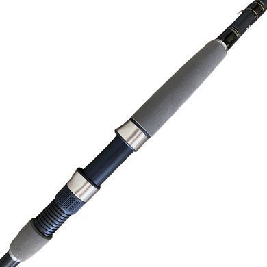 Спиннинг Daiwa Exceler 1002MHFS 3.05m 15-55g 11018-12 фото