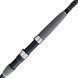 Спиннинг Daiwa Exceler 1002MHFS 3.05m 15-55g, 3,05 м, 230 г, 15-55 г, 2, 159 см