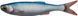 Силикон Savage Gear Craft Dying Minnow 55mm 0.7g (5 шт/уп) 1854.18.48 фото