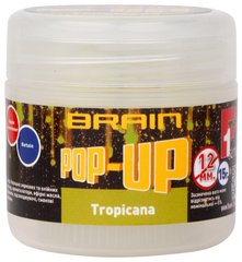 Бойлы Brain Pop-Up F1 Tropicana (манго) 1858.04.75 фото
