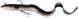 Силикон Savage Gear 3D Real Eel Ready To Fish 300mm 80.0g (1 шт/уп) 1854.07.81 фото