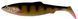 Силикон Savage Gear LB 3D Herring Shad 250mm 98.0g (1 шт/уп) 1854.03.23 фото