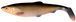 Силикон Savage Gear LB 3D Herring Shad 250mm 98.0g (1 шт/уп) 1854.03.24 фото