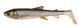 Силикон Savage Gear 3D Whitefish Shad 175mm 42.0g (2шт/уп) 1854.46.95 фото