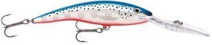 Воблер Rapala Deep Tail Dancer 130mm 42g 920153 фото