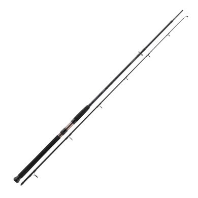 Спиннинг Daiwa Exceler Catfish Spin 2.40m -185g 11819-241 фото