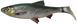 Силикон Savage Gear 3D LB River Roach 180mm 70.0g (1 шт/уп) 1854.25.27 фото