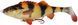 Силикон Savage Gear 4D Perch Shad SS 125mm 25.0g (1 шт/уп) 1854.08.18 фото