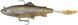 Силикон Savage Gear 4D Trout Spin Shad MS 110mm 40.0g (1 шт/уп) 1854.19.86 фото