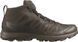 Кросівки Salomon Speed Assault 2 GTX Earth, 40, 25 см, 6.5, 24,5 см
