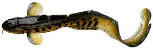 Силикон Savage Gear 3D Burbot 360mm 216.0g  (1 шт/уп) 1854.04.33 фото