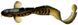 Силикон Savage Gear 3D Burbot 360mm 216.0g  (1 шт/уп) 1854.04.33 фото