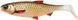 Силикон Savage Gear 3D River Roach 120mm 17.0g (1 шт/уп) 1854.42.64 фото