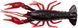 Силикон Savage Gear 4D Craw F 75mm 5.5g (6 шт/уп) 1854.17.79 фото