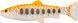Силікон Savage Gear 3D Craft Trout Pulsetail 200mm 104.0g (1 шт/уп) 1854.15.58 фото