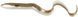 Силикон Savage Gear 3D Real Eel Loose Body 300mm 56.0g (1 шт/уп) 1854.01.82 фото
