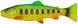 Силікон Savage Gear 3D Craft Trout Pulsetail 200mm 104.0g (1 шт/уп) 1854.15.59 фото