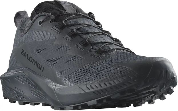 Кроссовки Salomon Sense Ride 5 SR Indink 1499.03.77 фото