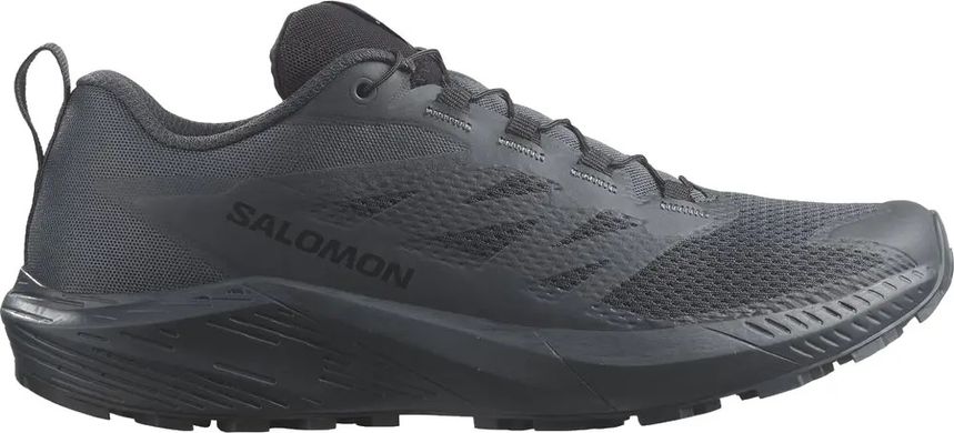 Кроссовки Salomon Sense Ride 5 SR Indink 1499.03.77 фото