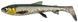 Силікон Savage Gear 3D Whitefish Shad 230mm 94.0g (1шт/уп) 1854.47.21 фото