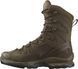 Ботинки Salomon QUEST 4D Forces 2 High GTX Earth, 39 1/3, 24,5 см, 6, 24 см