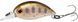 Воблер ZipBaits Baby Hickory 25SR 1595.03.83 фото