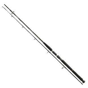 Спиннинг Daiwa BG Boat 2.10m 150-400g 11906-216 фото