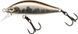 Воблер ZipBaits Rigge Flat 45S 1595.01.71 фото