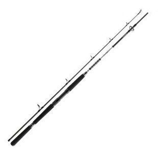 Спиннинг Daiwa BG Offshore Boat 2.10m 150-400g 11928-211 фото