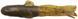 Силикон Savage Gear Ned Goby 70mm 3.0g (5 шт/уп) 1854.21.51 фото