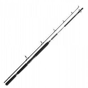 Спиннинг Daiwa BG Popper 2.30m 40-150g 11928-230 фото