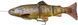 Силікон Savage Gear 4D Line Thru Trout MS 150mm 40.0g (1 шт/уп) 1854.04.55 фото