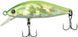 Воблер ZipBaits Rigge Flat 45S 1595.01.73 фото