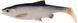 Силикон Savage Gear 3D LB Roach Paddletail 100mm 10.0g (3 шт/уп) 1854.03.82 фото