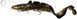 Силікон Savage Gear 3D Line Thru Burbot FS 360mm 216.0g (1 шт/уп) 1854.16.61 фото