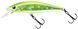 Воблер ZipBaits Rigge Flat 50S 1595.01.65 фото