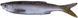 Силикон Savage Gear LB 3D Bleak Real Tail 80mm 3.0g (5 шт/уп) 1854.07.48 фото