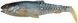Силікон Savage Gear Craft Cannibal Paddletail 105mm 12.0g (1 шт/уп) 1854.24.28 фото