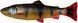 Силікон Savage Gear 3D Craft Trout Pulsetail 160mm 53.0g (1 шт/уп) 1854.24.30 фото